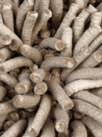 Lifestyle Carpets