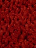 Lifestyle Carpets