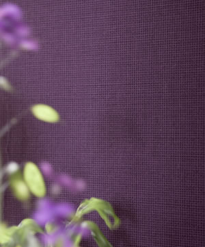 Designers Guild